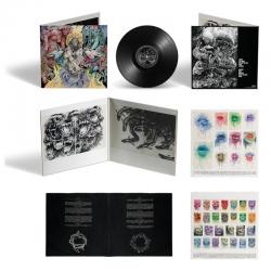 STONE VINYL (LP BLACK)