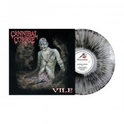 VILE SILVER BLACKDUST VINYL REISSUE (LP)