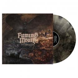 LAST DAY OF SUN SMOKE VINYL (LP)