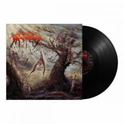 CLOUDS OF CONFUSION VINYL (LP BLACK)