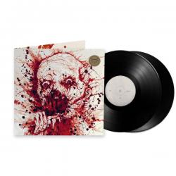 SHINING VINYL (2LP BLACK)