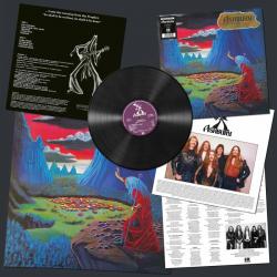 ENDLESS SKIES VINYL REISSUE (LP BLACK)