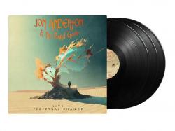 LIVE - PERPETUAL CHANGE VINYL (3LP BLACK)