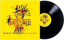 NEW DIRECTION VINYL (LP BLACK)