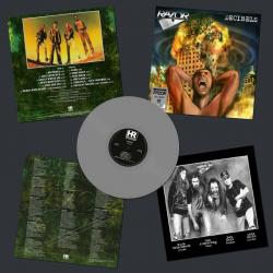 DECIBELS SILVER VINYL REISSUE (LP)