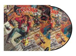 THE MORNING AFTER PICTURE VINYL REISSUE (LP)