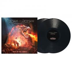 RATS IN THE TEMPLE VINYL (2LP BLACK)
