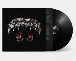 DEAD COMPANY VINYL (LP BLACK)