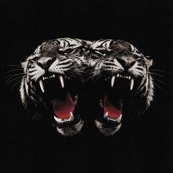 DEAD COMPANY (DIGI)