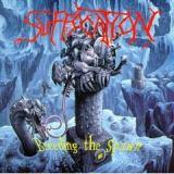 BREEDING THE SPAWN (CD)