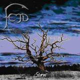 STORM (CD)