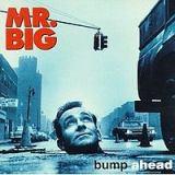 BUMP AHEAD (CD US-IMPORT)