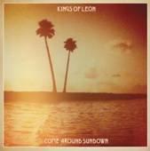 COME AROUND SUNDOWN (CD IMPORT)