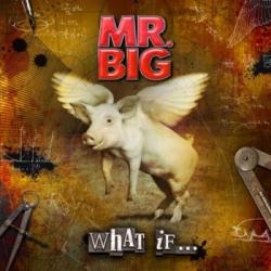 WHAT IF ...  LTD. EDIT. (CD+DVD DIGI)