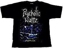 INTO THE EVERFLOW (TS)