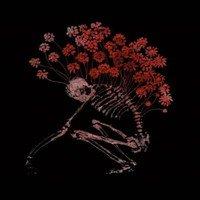 FOLK AESTHETIC 1996-2006 RE-ISSUE (3CD DIGI)