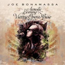 AN ACOUSTIC EVENING AT THE VIENNA OPERA HOUSE (2CD)