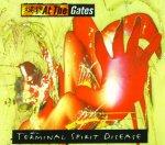 TERMINAL SPIRIT DISEASE REISSUE (CD)