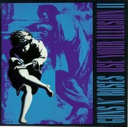 USE YOUR ILLUSION II (CD)