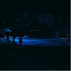 PANOPTICON VINYL (2LP)