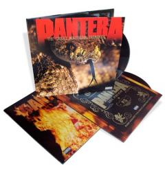 REINVENTING THE STEEL VINYL (LP)