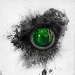 EMERAL FOREST AND THE BLACKBIRD (CD)