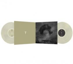 IN WAVES VINYL (2LP)