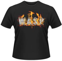 WORLD DOMINATION (TS)