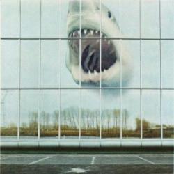 WILDERNESS HEART VINYL (LP US-IMPORT)