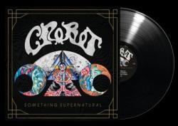 SOMETHING SUPERNATURAL VINYL (LP)
