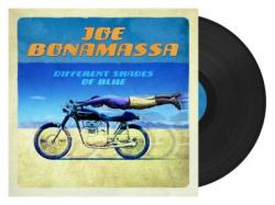 DIFFERENT SHADES OF BLUE VINYL (LP)