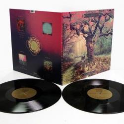 CROOKED DOORS VINYL (2LP BLACK)