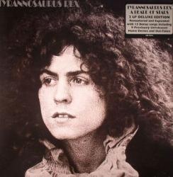 A BEARD OF STARS VINYL (2LP)