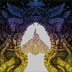 MIRROR LTD. EDIT. (DIGI)