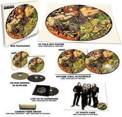 LADY IN GOLD LTD. BOX (CD+DVD+CD+PicLP+CARD/ BRUSH)