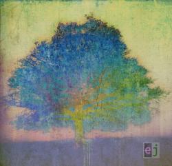 EJ LTD. EDIT. (DIGI)