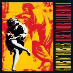 USE YOUR ILLUSION I VINYL (2LP)