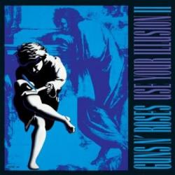 USE YOUR ILLUSION II VINYL (2LP)