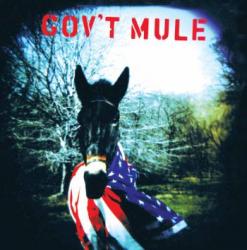 GOV'T MULE VINYL (2LP)