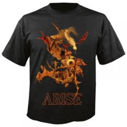 ARISE 30 YEARS (TS)