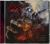THE SHADOW INSIDE (CD)