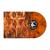 CLOSE TO A WORLD BELOW VINYL 25 ANNIVERS. VINYL (LP)