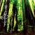 HEX RE-ISSUE (CD)