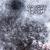 CRYPT OF ICE REISSUE (CD)