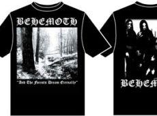 AND THE FORESTS (TS)
