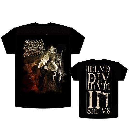ILLUD DIVINUM INSANUS (TS)