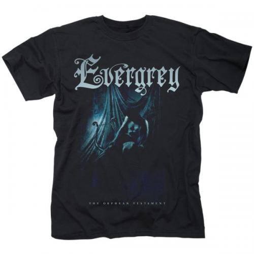 A HEARTLESS PORTRAIT - THE ORPHEAN TESTAMENT (TS)