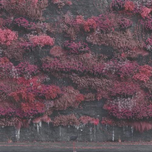 EVEN IN ARCADIA (CD)