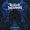NOCTURNAL (CD)