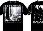 AND THE FORESTS (TS)